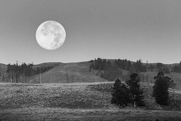 Herbert, Neal 작가의 Moonset, Lamar Valley, Yellowstone National Park 작품