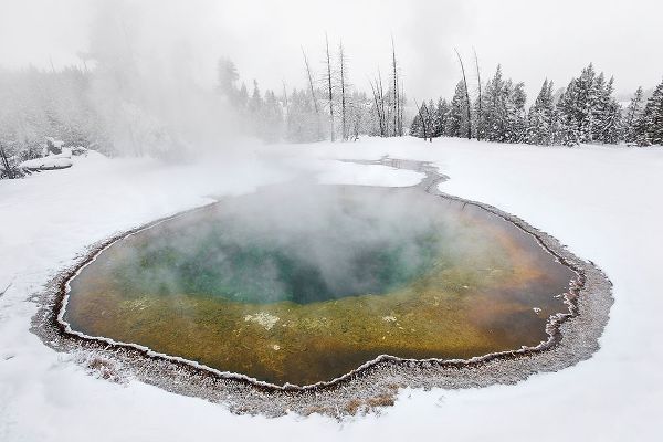 The Yellowstone Collection 작가의 Morning Glory Pool, Yellowstone National Park 작품