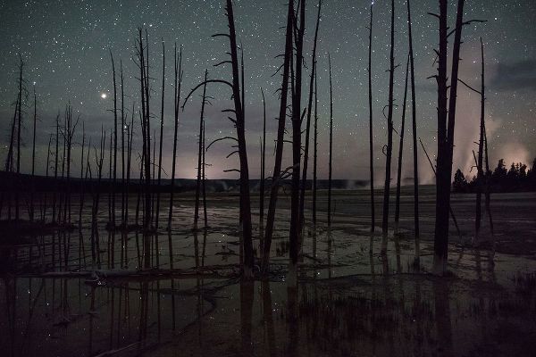 The Yellowstone Collection 작가의 Night sky at Fountain Paint Pots, Yellowstone National Park 작품