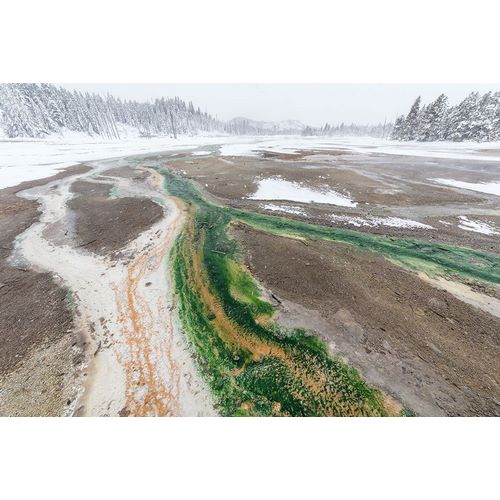 Frank, Jacob W. 작가의 Norris Geyser Basin Thermophile Streams, Yellowstone National Park 작품