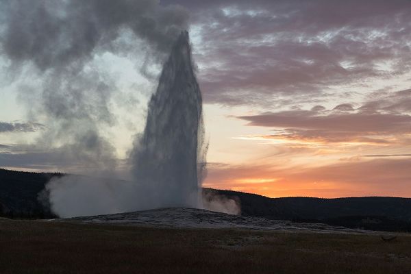 The Yellowstone Collection 작가의 Old Faithful Eruption at Sunset, Yellowstone National Park 작품