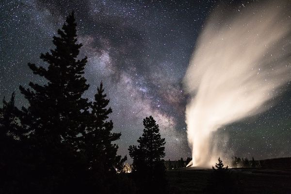 The Yellowstone Collection 작가의 Old Faithful Erupts, Yellowstone National Park 작품