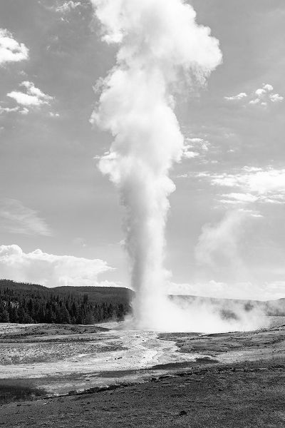 The Yellowstone Collection 작가의 Old Faithful, Yellowstone National Park 작품