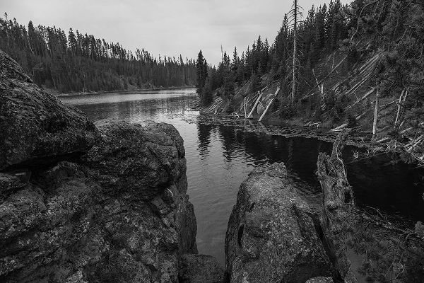 The Yellowstone Collection 작가의 Lewis River Channel, Yellowstone National Park 작품