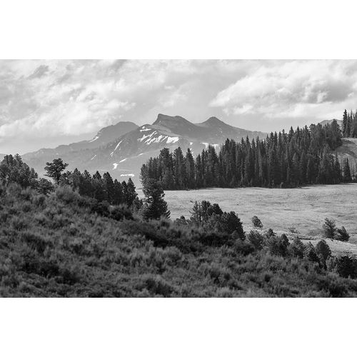 Frank, Jacob W. 작가의 Saddle Mountain and Pollux Peak from Druid Peak hillside, Yellowstone National Park 작품