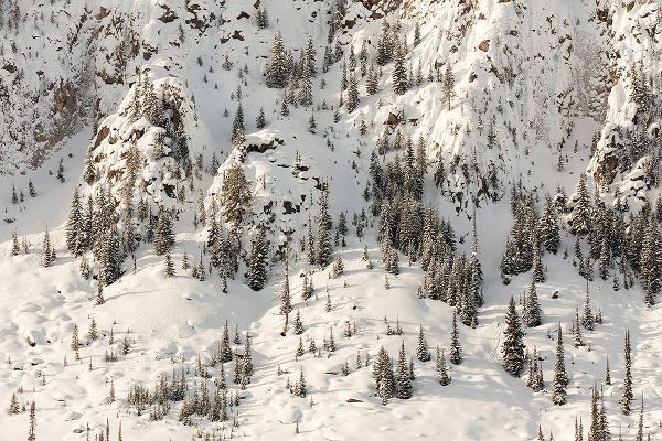 The Yellowstone Collection 작가의 Snowy Cliffs of Mt. Haynes, Yellowstone National Park 작품