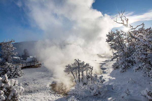 The Yellowstone Collection 작가의 Snowy Sunrise, Mammoth Hot Springs, Yellowstone National Park 작품