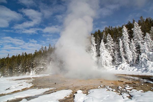 The Yellowstone Collection 작가의 Solitary Geyser between Eruptions, Yellowstone National Park 작품