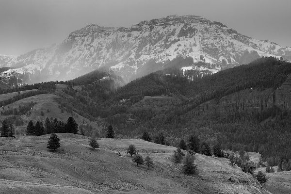 The Yellowstone Collection 작가의 Spring Snow, Lamar Valley, Yellowstone National Park 작품