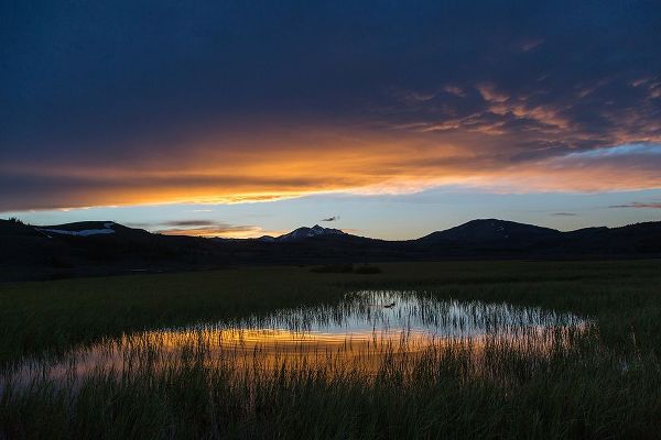 The Yellowstone Collection 작가의 Spring Sunset, Swan Lake, Yellowstone National Park 작품