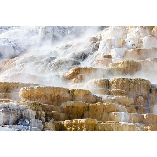 Frank, Jacob W. 작가의 Steam Rising from Palete Spring, Yellowstone National Park 작품