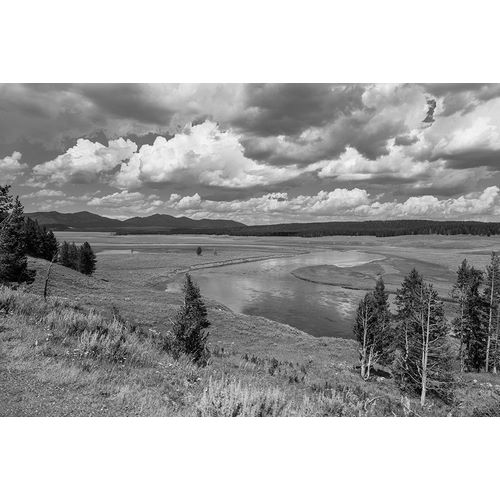 Frank, Jacob W. 작가의 Hayden Valley and Yellowstone River, Yellowstone National Park 작품