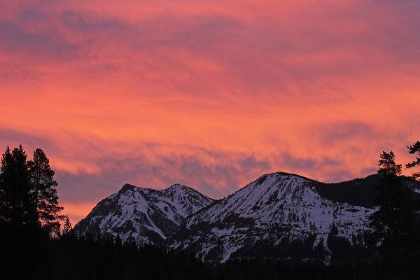 The Yellowstone Collection 작가의 Sunrise in the upper Soda Butte Valley, Yellowstone National Park 작품