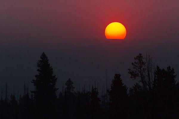 The Yellowstone Collection 작가의 Sunrise over the Beartooth Plateau, Yellowstone National Park 작품