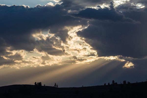 The Yellowstone Collection 작가의 Sunset, Lamar Valley, Yellowstone National Park 작품