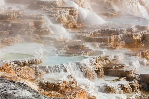 The Yellowstone Collection 작가의 Terraces of Canary Spring, Yellowstone National Park 작품