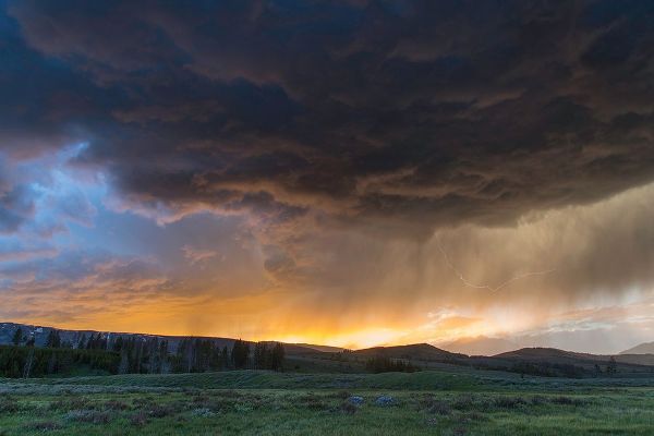 The Yellowstone Collection 작가의 Thunderstorm at Sunset, Swan Lake Flat, Yellowstone National Park 작품