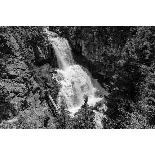 Frank, Jacob W. 작가의 Undine Falls from the Lava Creek Trail, Yellowstone National Park 작품