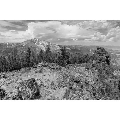 Frank, Jacob W. 작가의 View from Sepulcher Mountain Summit, Yellowstone National Park 작품