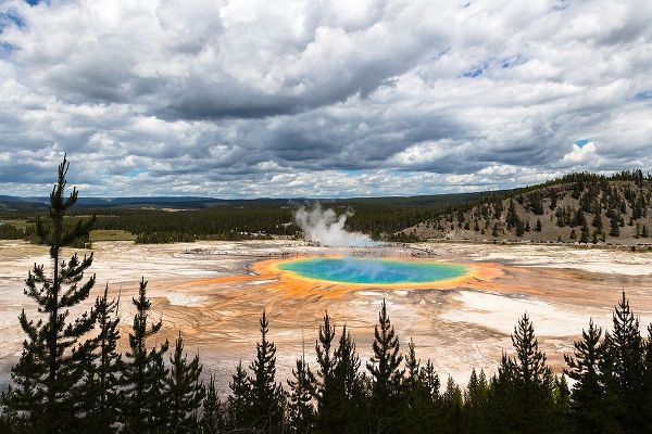 The Yellowstone Collection 작가의 Views from the Grand Prismatic Overlook Trail, Yellowstone National Park 작품