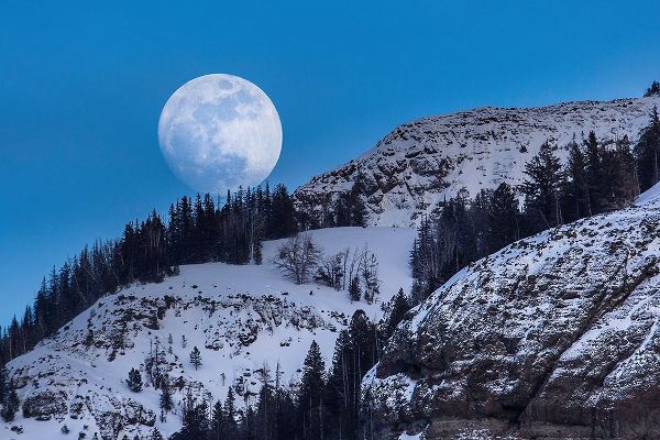 The Yellowstone Collection 작가의 Waxing Moon, Lamar Valley, Yellowstone National Park 작품