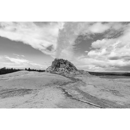 Frank, Jacob W. 작가의 White Dome Geyser Eruption, Yellowstone National Park 작품