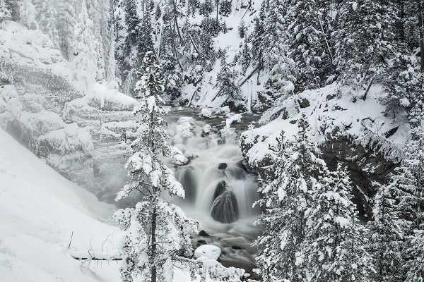 The Yellowstone Collection 작가의 Winter at Firehole Falls, Yellowstone National Park 작품