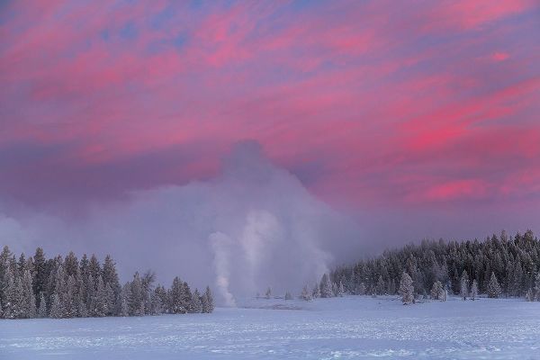 The Yellowstone Collection 작가의 Winter Dawn, Upper Geyser Basin, Yellowstone National Park 작품