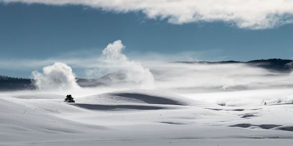 The Yellowstone Collection 작가의 Winter in Hayden Valley, Yellowstone National Park 작품