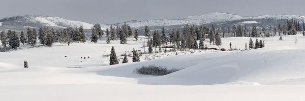 The Yellowstone Collection 작가의 Winter Panorama, Blacktail Deer Plateau, Yellowstone National Park 작품