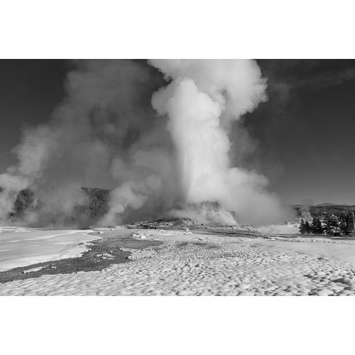Frank, Jacob W. 작가의 Winter Solstice Castle Geyser Eruption, Yellowstone National Park 작품