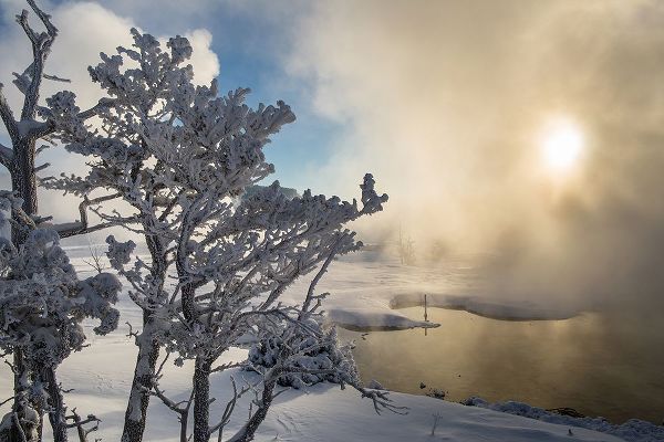 The Yellowstone Collection 작가의 Winter Sunrise, Mammoth Hot Springs, Yellowstone National Park 작품