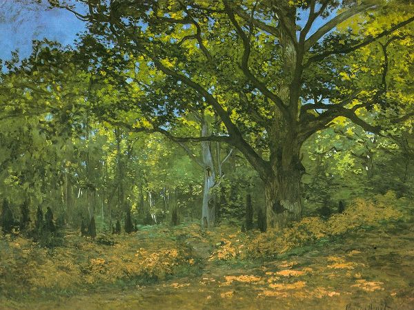 Monet, Claude 작가의 Bodmer Oak at Bas-Breau 1865 작품