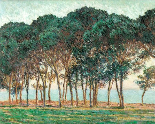 Monet, Claude 작가의 Umbrella Pines-Antibes 1888 작품