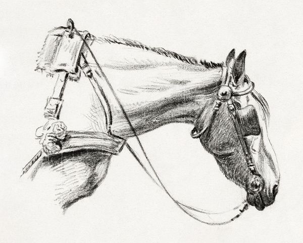 Bernard, Jean 아티스트의 Head of a Horse III 1820작품입니다.