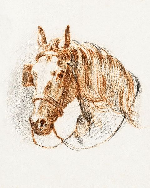 Bernard, Jean 아티스트의 Head of a Horse IV 작품입니다.