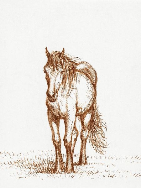 Bernard, Jean 아티스트의 Standing Horse 1816작품입니다.