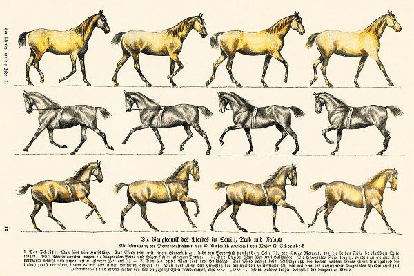 Vintage Drawings 아티스트의 Walking Technique of the Horse작품입니다.