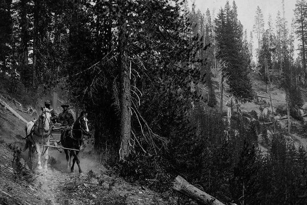Vintage Photography 아티스트의 Wagon on Trail from Diamond Lake작품입니다.