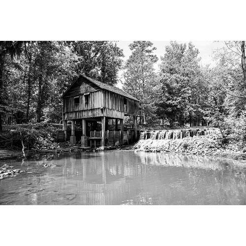Highsmith, Carol 아티스트의 An Old Mill in Alabama작품입니다.
