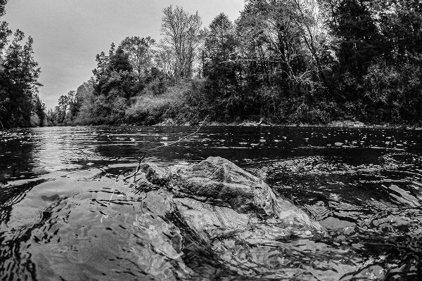 Alabama Picture Archive 아티스트의 Big Escambia Creek in the Poarch Band of Creek Indians작품입니다.