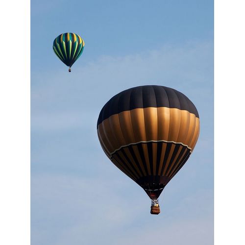 Highsmith, Carol 아티스트의 Decatur-Alabama Annual Hot Air Balloon Jubilee Festival작품입니다.