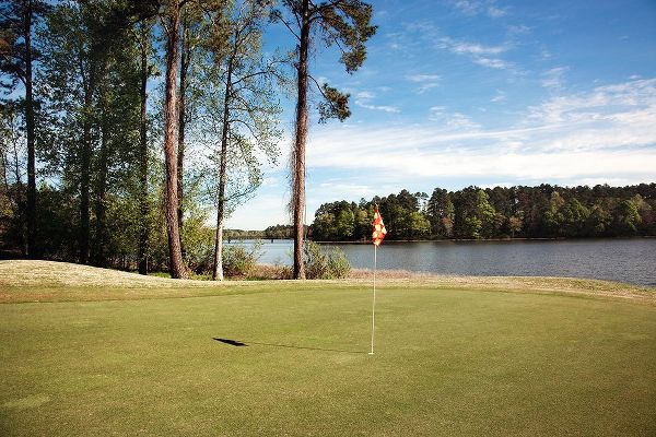 Highsmith, Carol 아티스트의 Grand National Golf Course I작품입니다.
