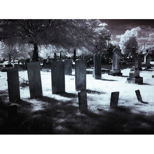 Highsmith, Carol 아티스트의 Greenwood Cemetery in Tuscaloosa-Alabama작품입니다.