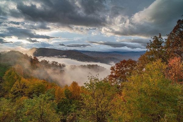 Tennessee Picture Archive 아티스트의 Autumn Landscape Tennessee작품입니다.