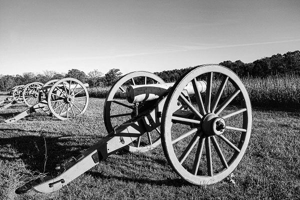Tennessee Picture Archive 아티스트의 Cannons at Shiloh National Military Park Tennessee작품입니다.