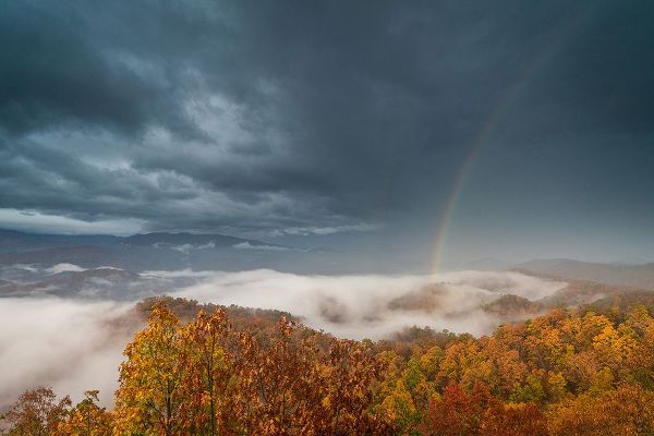 Tennessee Picture Archive 아티스트의 Foothills Parkway Tennessee During Autumn III작품입니다.