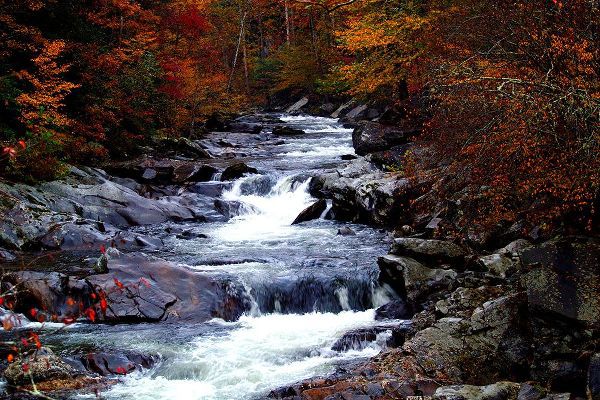 Tennessee Picture Archive 아티스트의 Tennessee Great Smoky Mountains National Park작품입니다.