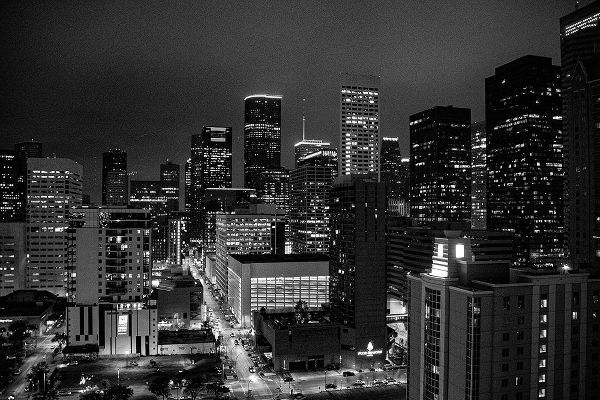 Texas Picture Archive 아티스트의 Houston-Texas at Night작품입니다.