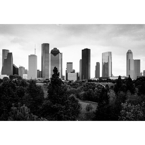 Highsmith, Carol 아티스트의 Houston-Texas Skyline II작품입니다.